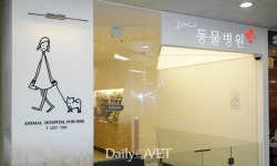 [전문진료 동물병원 인터뷰12] 행동학 특화 `그녀의 동물병원`