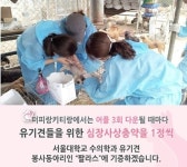 퍼피랑 키티랑 어플 다운받고 유기동물 도와주세요