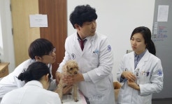 [우리 학교를 알립니다⑤] 서울대학교 수의과대학