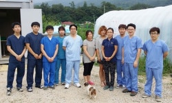 강원대학교 부속 동물병원，춘천시 유기동물 보호소 수술 봉사 진행