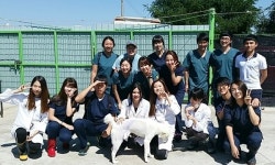 서울대 수의대 팔라스，퍼피랑키티랑과 함께 유기동물 봉사