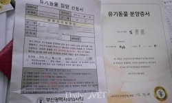 [포토뉴스] 제3회 부산유기동물가족만나기 현장