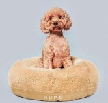 [기고] 겨울철 반려동물과 함께 사는 가정에게―최중연 수의사