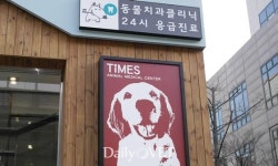 [인터뷰] 수원시수의사회장 양철호 타임즈동물의료센터 원장