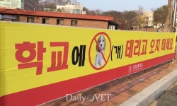 `학교에 개 데리고 오지 마세요` 경상대학교，동물병원 앞 현수막 논란