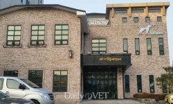 대전 로컬동물병원 최초 CT·MRI 도입，대전동물메디컬센터 숲 개원