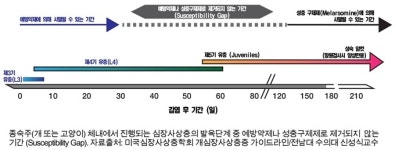 [좌담회] 일선 동물병원의 심장사상충 예방 현황과 향후 과제