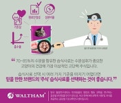 고양이 습식사료에 대한 오해와 진실