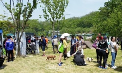 광교 호수공원 반려견놀이터，개장 1주년 기념 반려동물 행사 열려