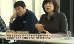 동물농장 강아지공장，자가진료 조항 때문에 수의사법 처벌 불가능