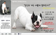 당신의 개는 어떻게 말하나요？18일 서울대 반려동물문화교실