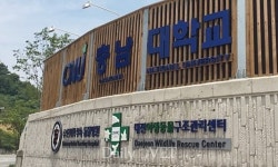 충남대 동물병원，리모델링 통해 지역 최고 2차 진료기관으로 거듭나