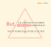 [카드뉴스] 고양이 전염성 복막염 FIP―마더캣×데일리벳