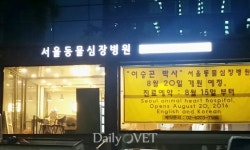 바야흐로 전문 동물병원의 태동기가 도래했다