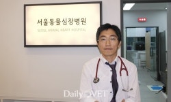 [전문진료 동물병원 인터뷰14] 심장 특화 `서울동물심장병원`