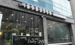 [전문진료 동물병원 인터뷰14] 심장 특화 `서울동물심장병원`