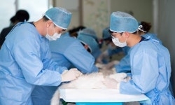 버동수 10월 정기 동물의료봉사 진행，3번째 천안시 동물보호소 방문