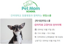   건국대학교 동물병원과 함께하는 펫맘스쿨，12월 17일 개강  