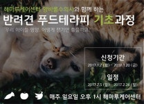   반려견에게 바르게 먹이자！아이해듀 반려견 푸드테라피 과정 개설  