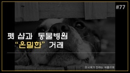   [카드뉴스] 샵연계병원의 문제점 `펫샵과 동물병원의 은밀한 거래`  