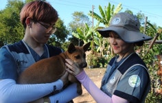   건국대 수의대 바이오필리아, 라오스서 동물의료 봉사활동 펼쳐  