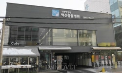   [전문진료 동물병원 인터뷰18] 고양이만 보는 고양이병원 `백산동물병원`  