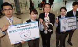   인천공항，기내반입 금지물품 안내 위해 반려견 `달리` 명예홍보견 위촉  