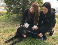   [인터뷰] 가장 가까운 곳에서부터 봉사하는 충남대 수의대 `VEVO`  