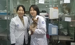 [제3회 실습후기 공모전 우수상] 웨스턴동물의료센터 / 충북대 박수영