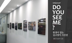   고양이병원 백산동물병원，김대영 작가 초청 첫번째 `고양이 사진전` 개최  