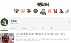   수의사들이 전하는 수의학 정보 `펫닥터` 유튜브 채널  