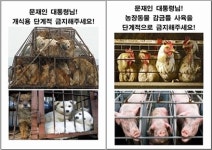   동물보호활동가들，`광화문 1번가` 앞에서 동물보호 정책 요구 기자회견  