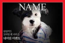   ˝삼성카드 모바일 펫 서비스의 이름을 지어주시개˝  