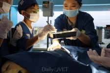   `어린이 수의사 체험공간` 키자니아 서울 ANF 동물병원 오픈  