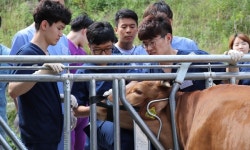   `미래 산업동물 수의사는 여기로` 평창 연수원서 산업동물 심화교육  