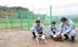   바른정당 반려동물 특위, 고양시 동물보호센터서 유기동물 봉사  