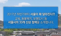   서울시 동물복지지원센터 10월 개장…동물병원·입양센터 등 들어서  