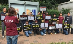   개 전기도살 무죄 판결에 `차라리 동물보호법을 폐기하라`  