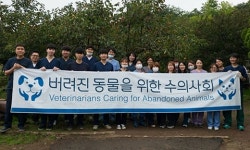   버동수，경남 밀양 개인보호소에서 동물의료 봉사 진행  