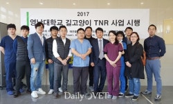   영남대학교 길고양이 상생 프로젝트 도운 `대구시수의사회`  