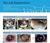   D―7 아시아수의전문의협회 대회 `AMAMS 2017`，안과 랩 신청하세요！  