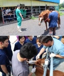   `연합대학·농장동물 임상 강화` 교육 개선 제언 쏟아진 공청회  