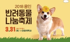   용인 반려동물 나눔축제，3월 31일 개최  
