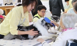   5년째 요양병원 노인들을 찾아 간 수의사와 강아지들  