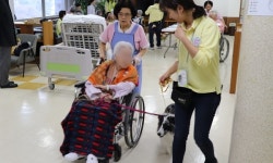   5년째 요양병원 노인들을 찾아 간 수의사와 강아지들  