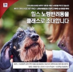   `노령 반려동물 보호자 대상` 힐스 노령 반려동물 클래스 28일 개최  