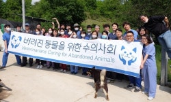   버려진 동물을 위한 수의사회，경북 안동에서 정기 동물의료 봉사 펼쳐  