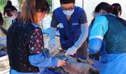   내추럴발란스 블루엔젤봉사단, 유기동물들에 전한 16번째 손길  