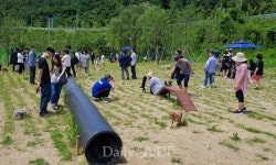   [포토뉴스] 전국 최대규모 반려견 놀이터 `안양 삼막애견공원` 개장식  