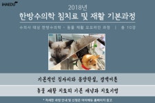   아이해듀，한방수의학 및 동물재활 오프라인 과정 8월 1일 개강  